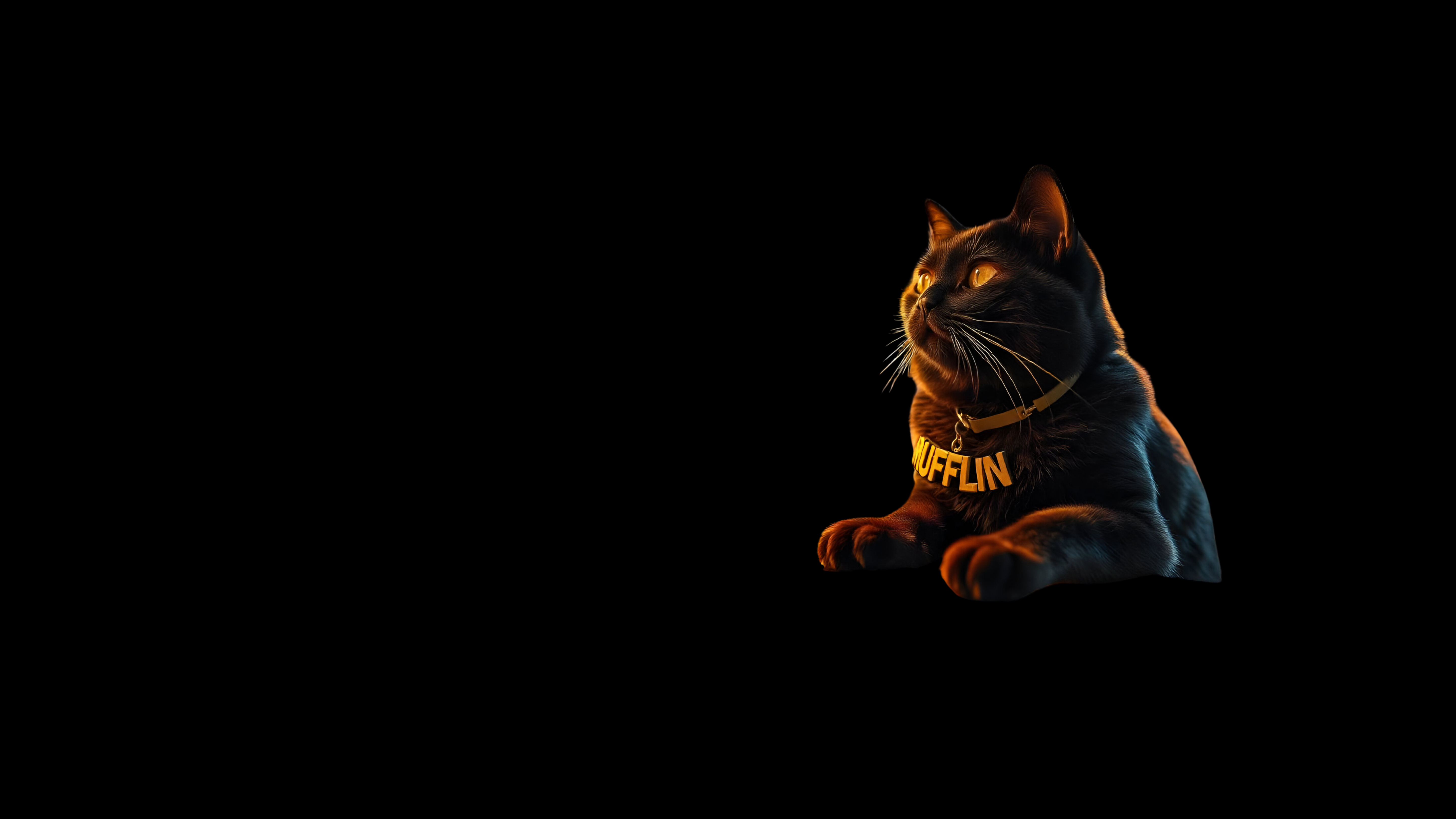 White Digitalism Basic Simple Presentation